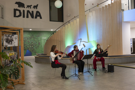 Presernov_dan_Krpanov_dom_26_50