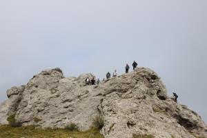 IMG_5589