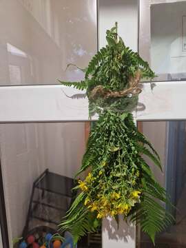 Foto6