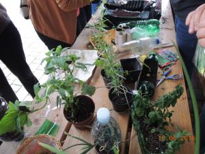 13443258_1045327972226453_7509739170041671729_o