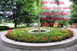 36434325_118243035752697_8353556612983554048_o