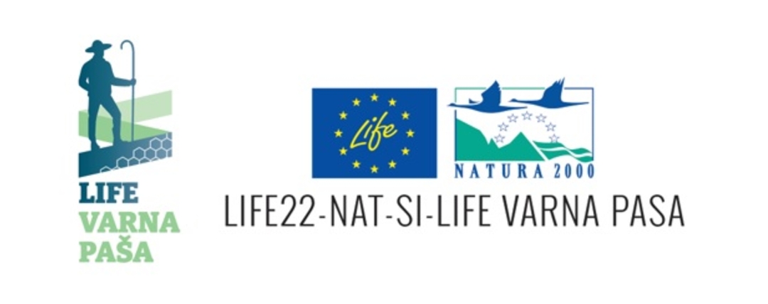 Screenshot_2025-09-26-13-48-53-94_a27b88515698e5a58d06d430da63049d